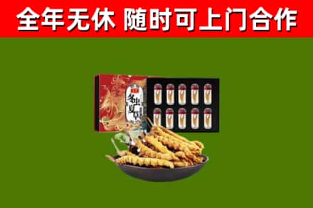云林回收冬虫夏草价格